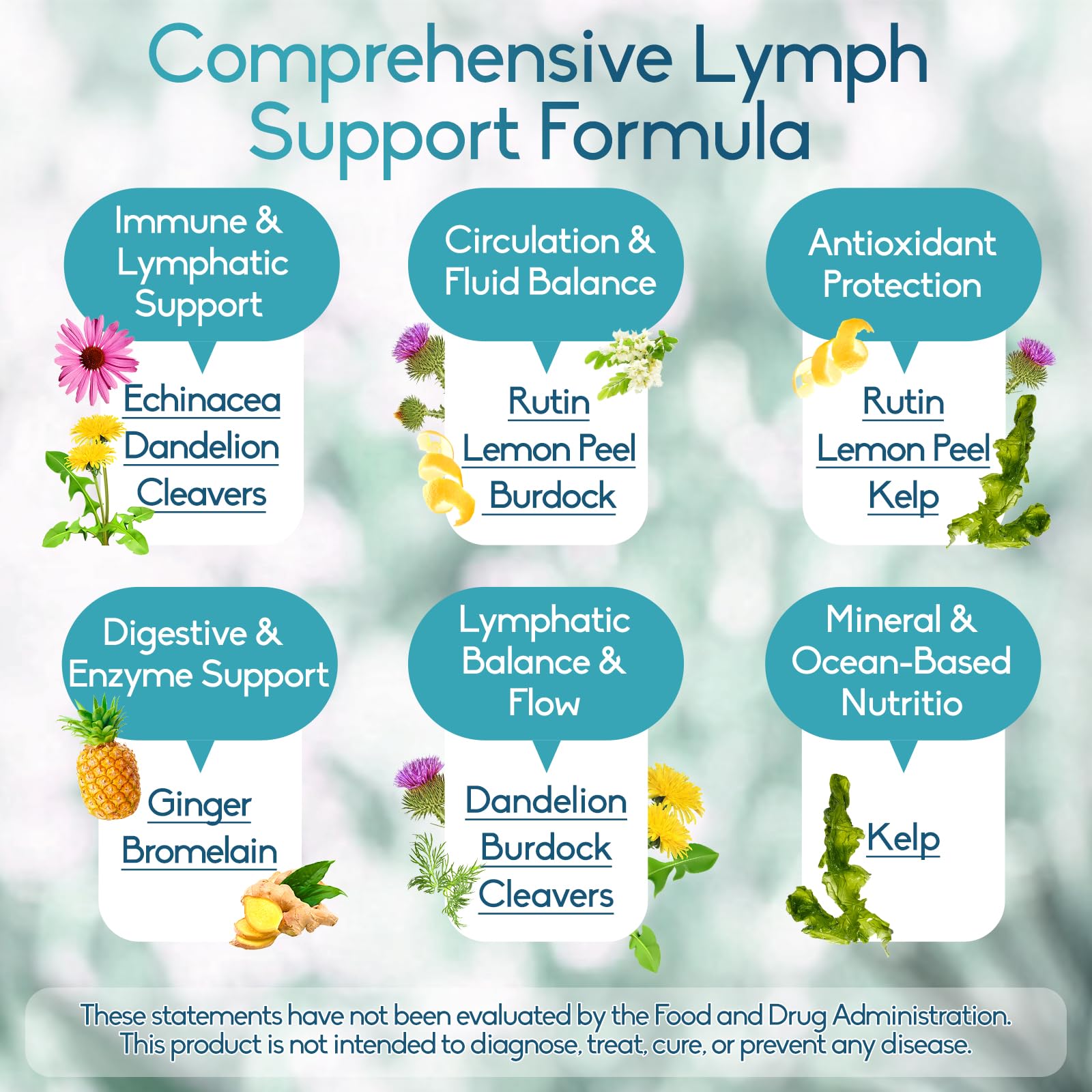 GAVYNETH dandelion and burdock blend illustration of plant-based lymph support.