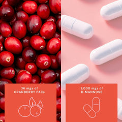 Gemma Stay On Tract vegan gluten-free icon signals clean ingredients.