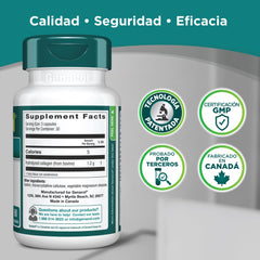 Genacol capsules arranged on mint background suggesting a daily wellness routine.