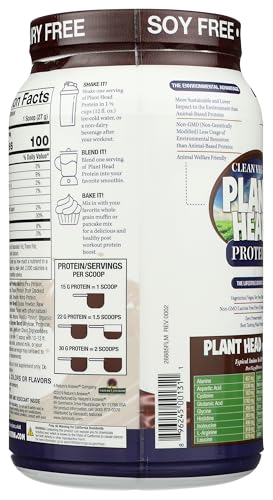 Scoop of Genceutic Naturals Plant Head Protein chocolate ready to blend into shakes