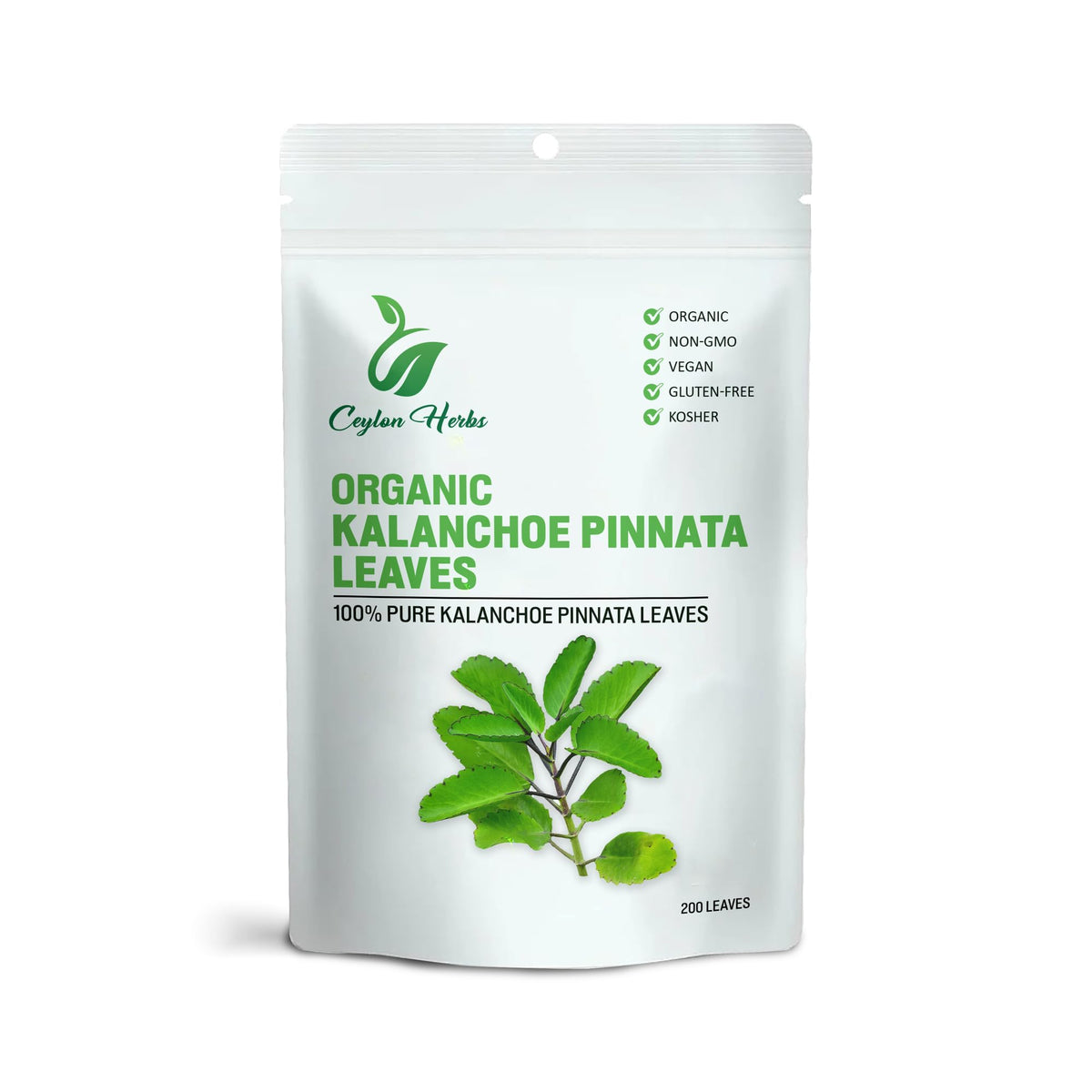 Generic 200 Kalanchoe Pinnata leaves pack ready for infusions and cooking.