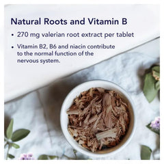 Baldrian 1200 vegan lactose-free formula showcased in the bottle for herbal night use.