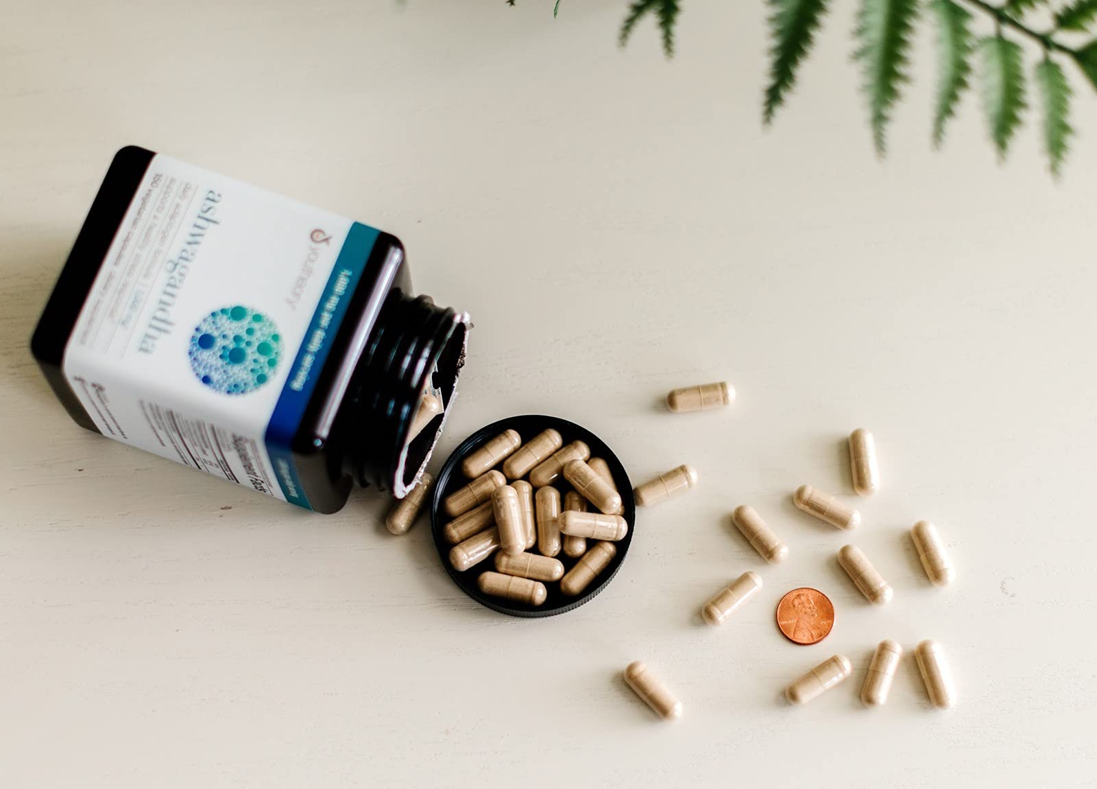 Generic Envisionary Easy Sleep packet showcases sleep-support blend.