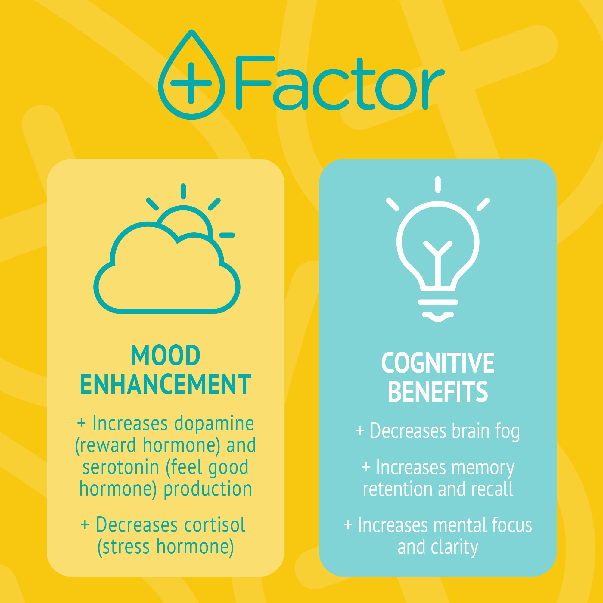 Generic Plus Factor brain-focus concept signals cognitive support during tasks.