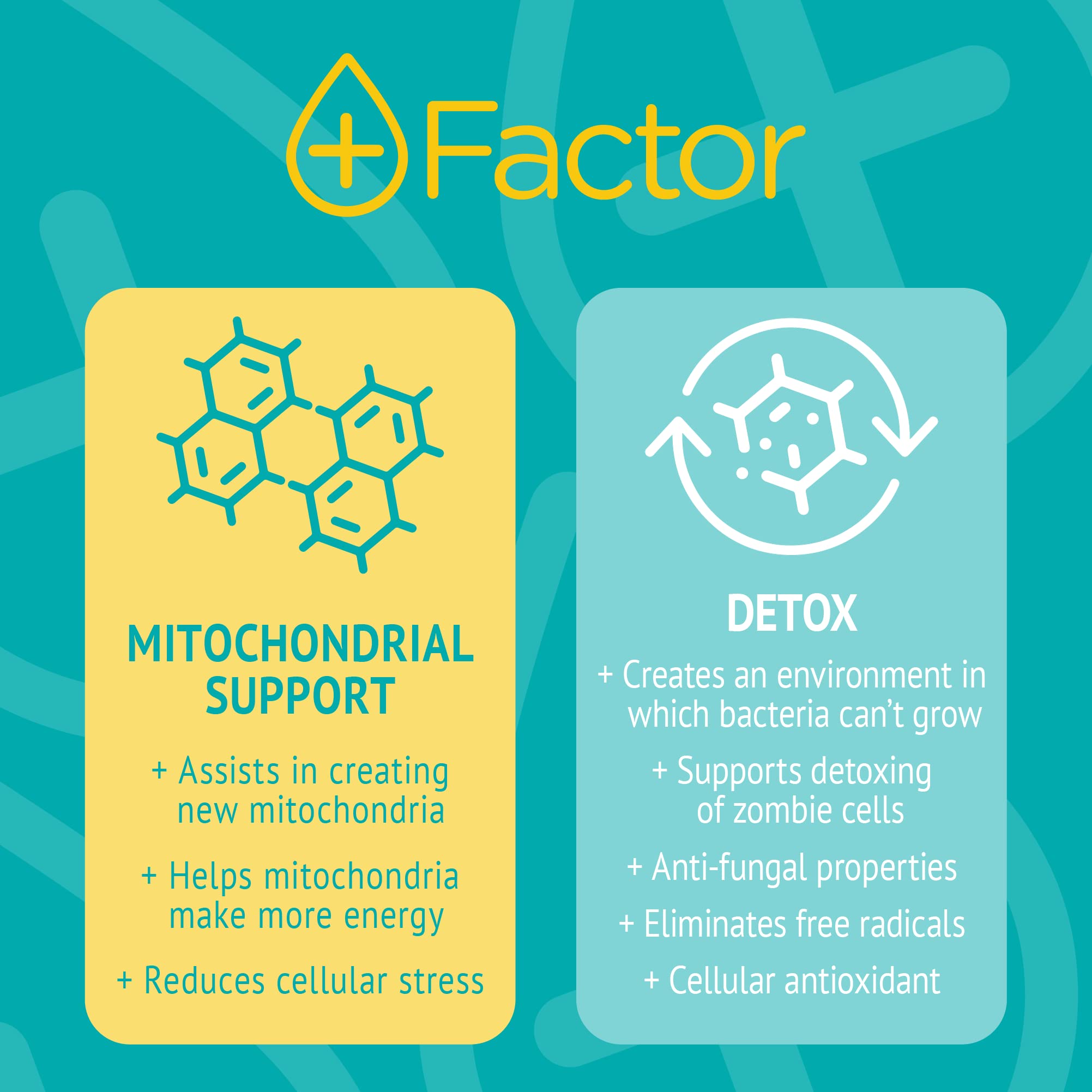 Generic Plus Factor silver nano-particles emphasize advanced formulation.