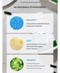 Generic Spirulina green powder texture highlights natural pigment