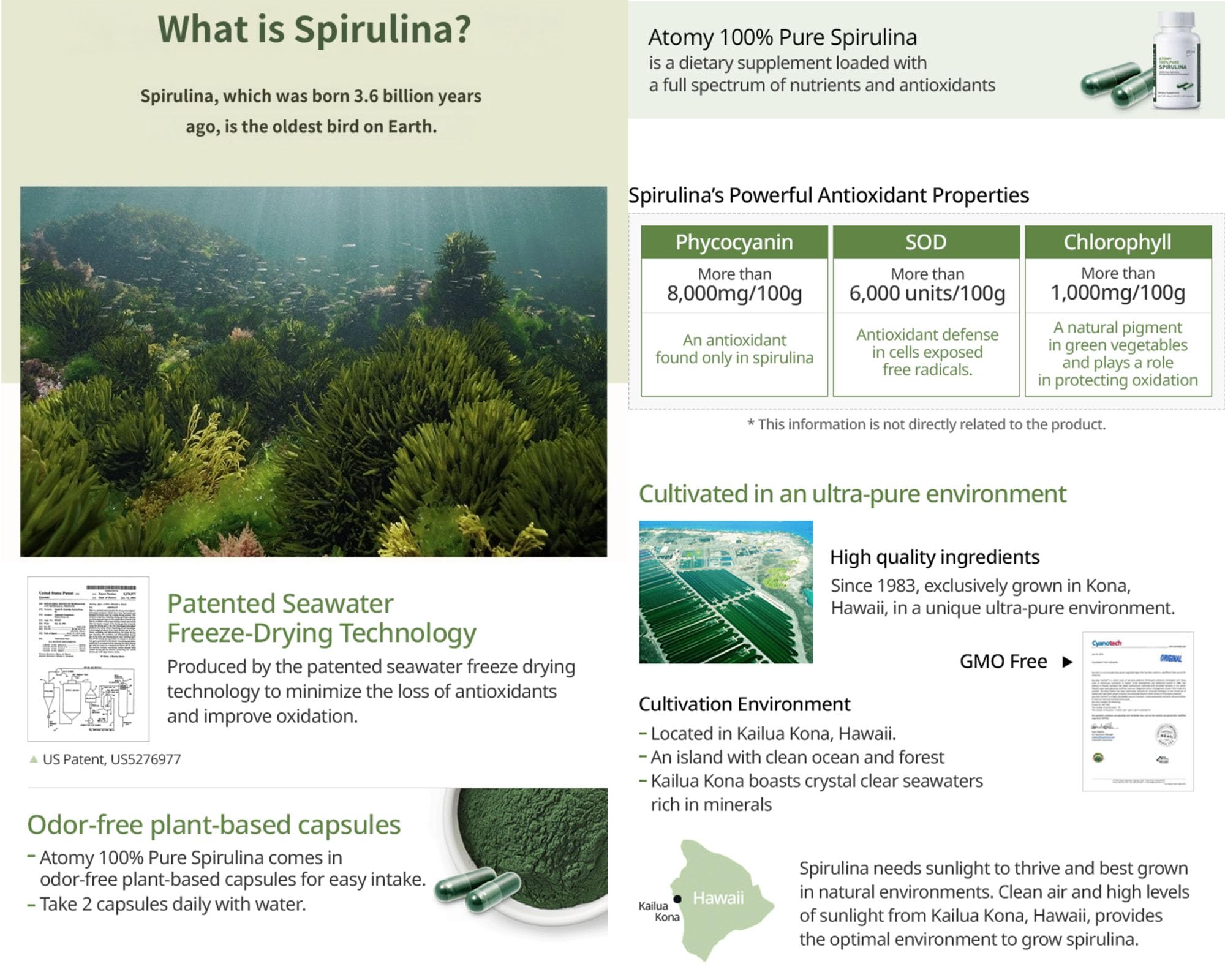 Generic Spirulina packaging on display signals quality and value