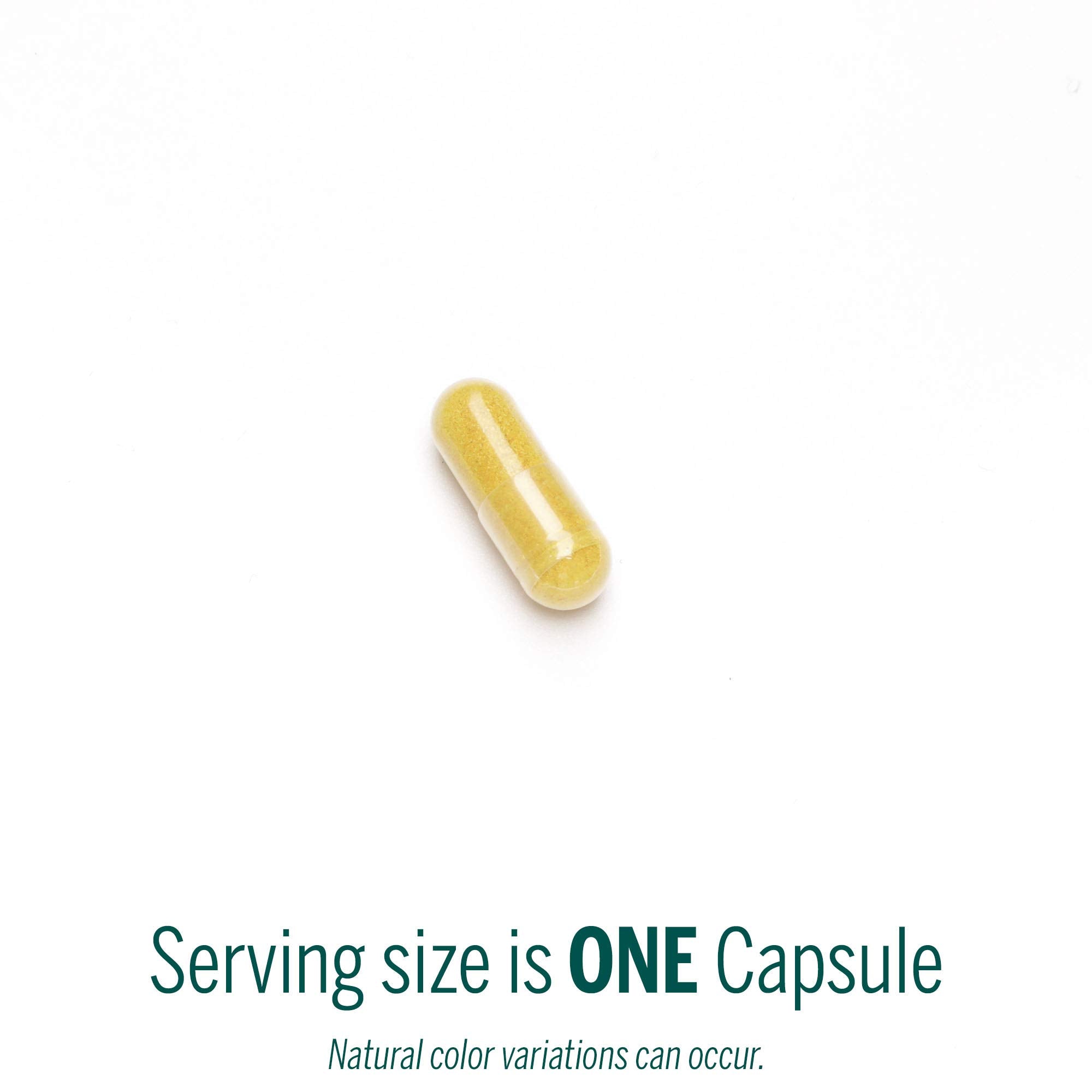 Genestra Berberis Formula capsules close-up for easy daily dosing.