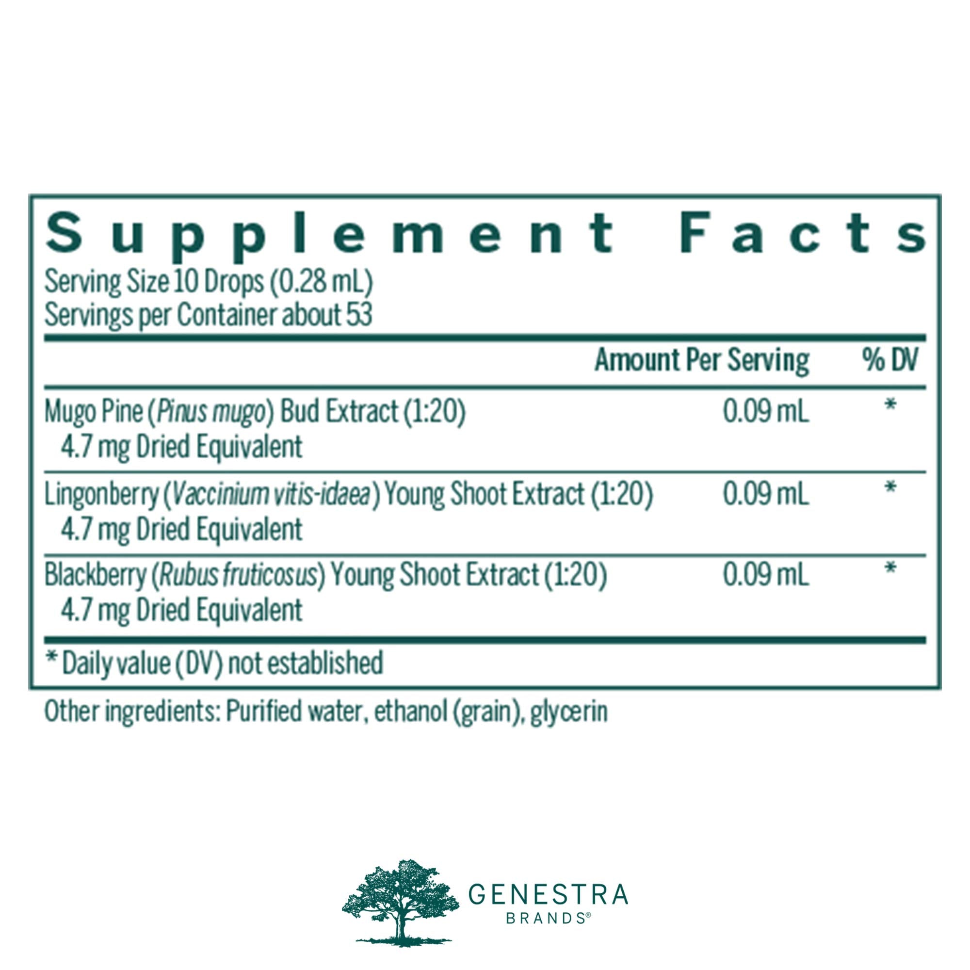 Genestra Osteo-gen bottle featuring Lingonberry emphasizes berry-rich phytonutrients.
