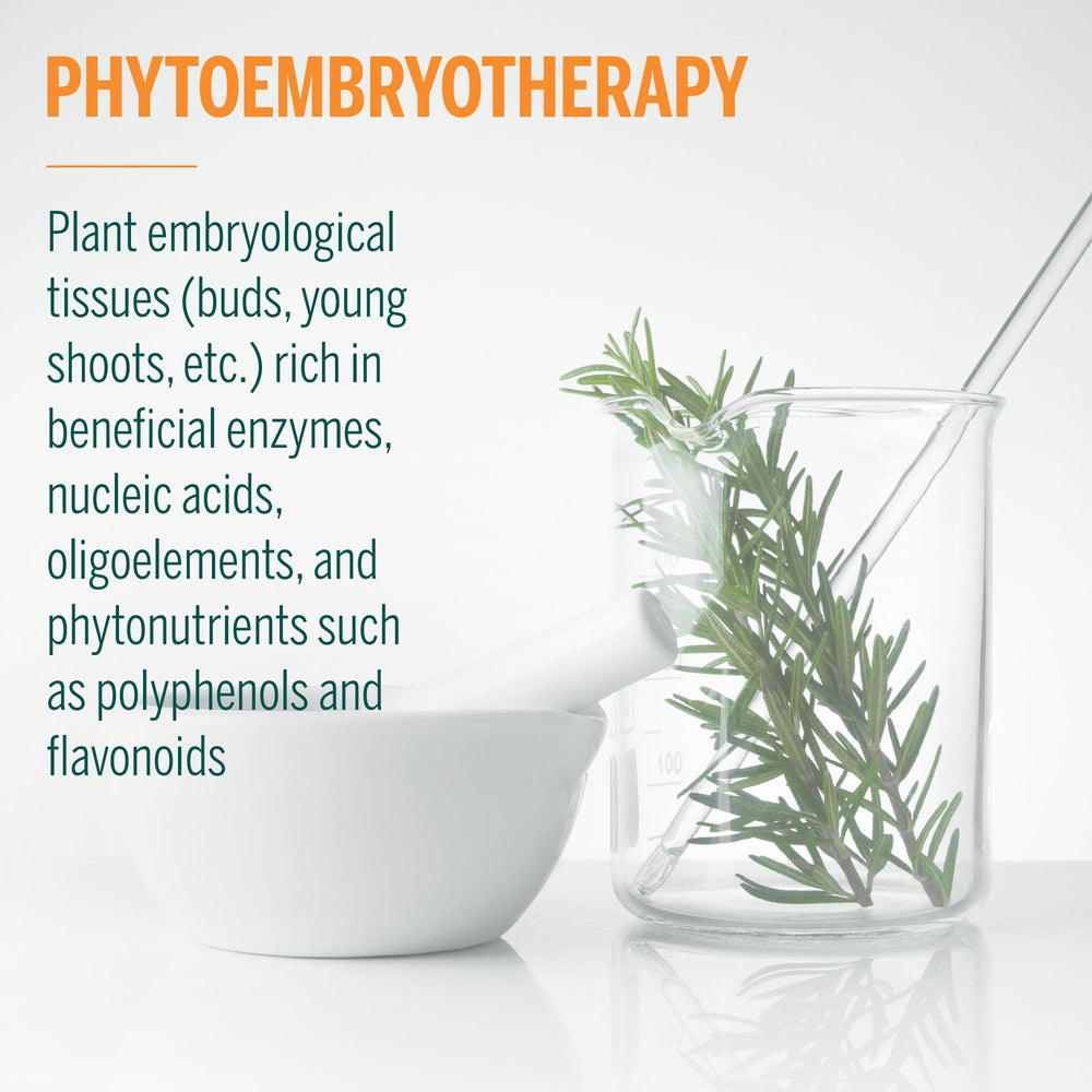 Genestra Osteo-gen embryology illustration reflects phytoembryotherapy concept.