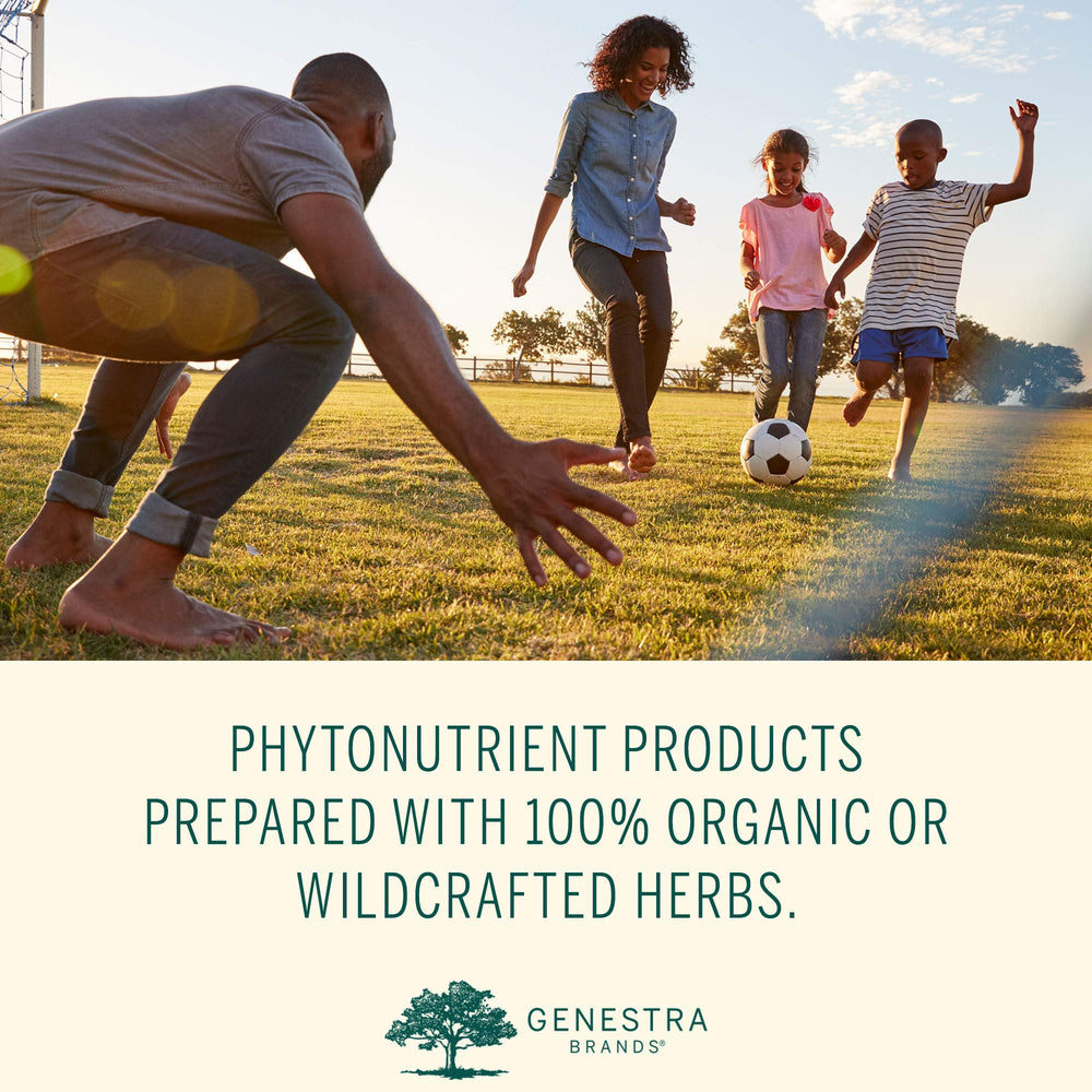 Genestra Phyto Greens capsules arranged on counter for everyday wellness routine