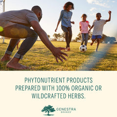 Genestra Phyto Greens capsules arranged on counter for everyday wellness routine