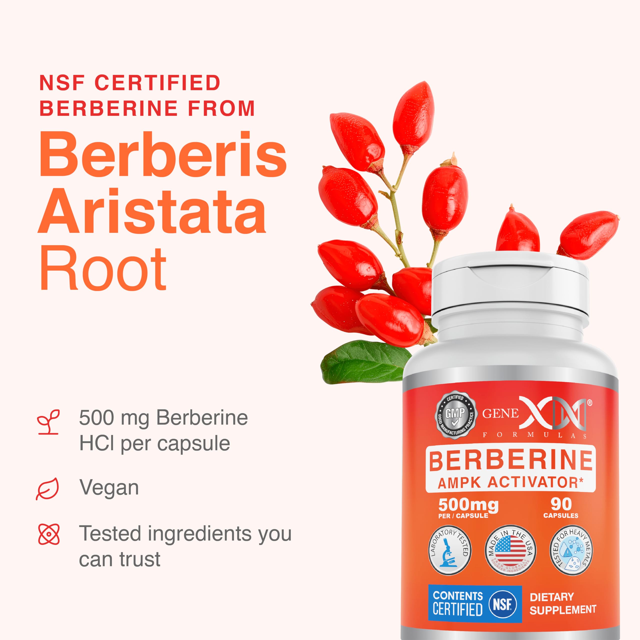 Genex Berberine HCl 500mg bottle on kitchen shelf supports routine supplementation.