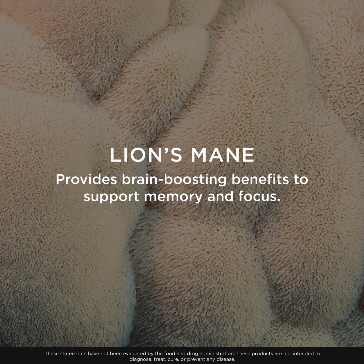 Nutrition label highlights real Lion's Mane extract and essential vitamins