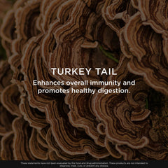 Close-up of organic mushrooms emphasizes natural ingredients for immune and gut health exploration.
