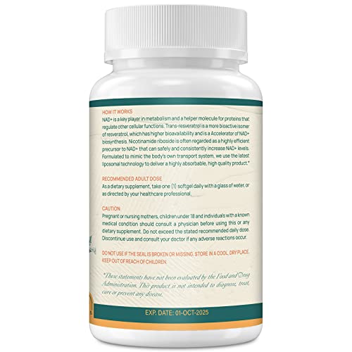 GENOBBELY liposomal delivery technology illustration for enhanced NAD+ absorption.