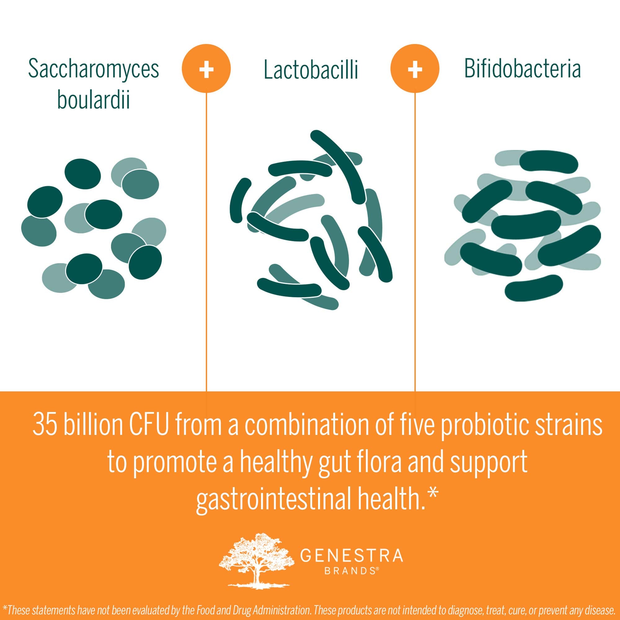 Genestra Brands HMF Travel gut flora illustration suggesting balanced microbiome