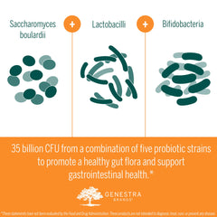 Genestra Brands HMF Travel gut flora illustration suggesting balanced microbiome