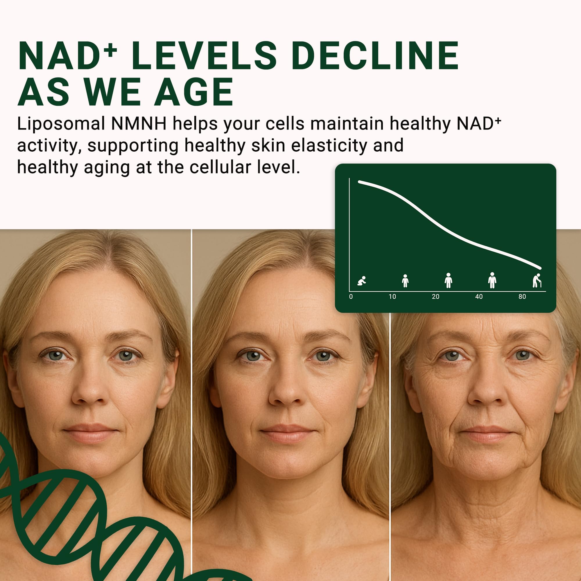 Imagery suggests potential anti-aging and skin vitality benefits