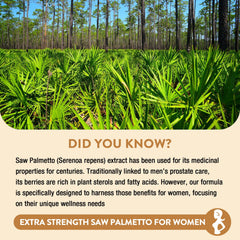Gesundgeist Saw Palmetto five-in-one blend illustration showing key ingredients.