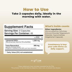 gflow daily-use illustration suggests a simple routine integration