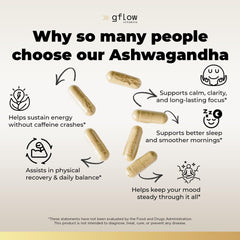 Gflow Ashwagandha root illustration emphasizing natural adaptogen heritage.