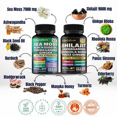 Gi.Da.Culture Shilajit capsules packaging highlights Himalayan resin and energy synergy.