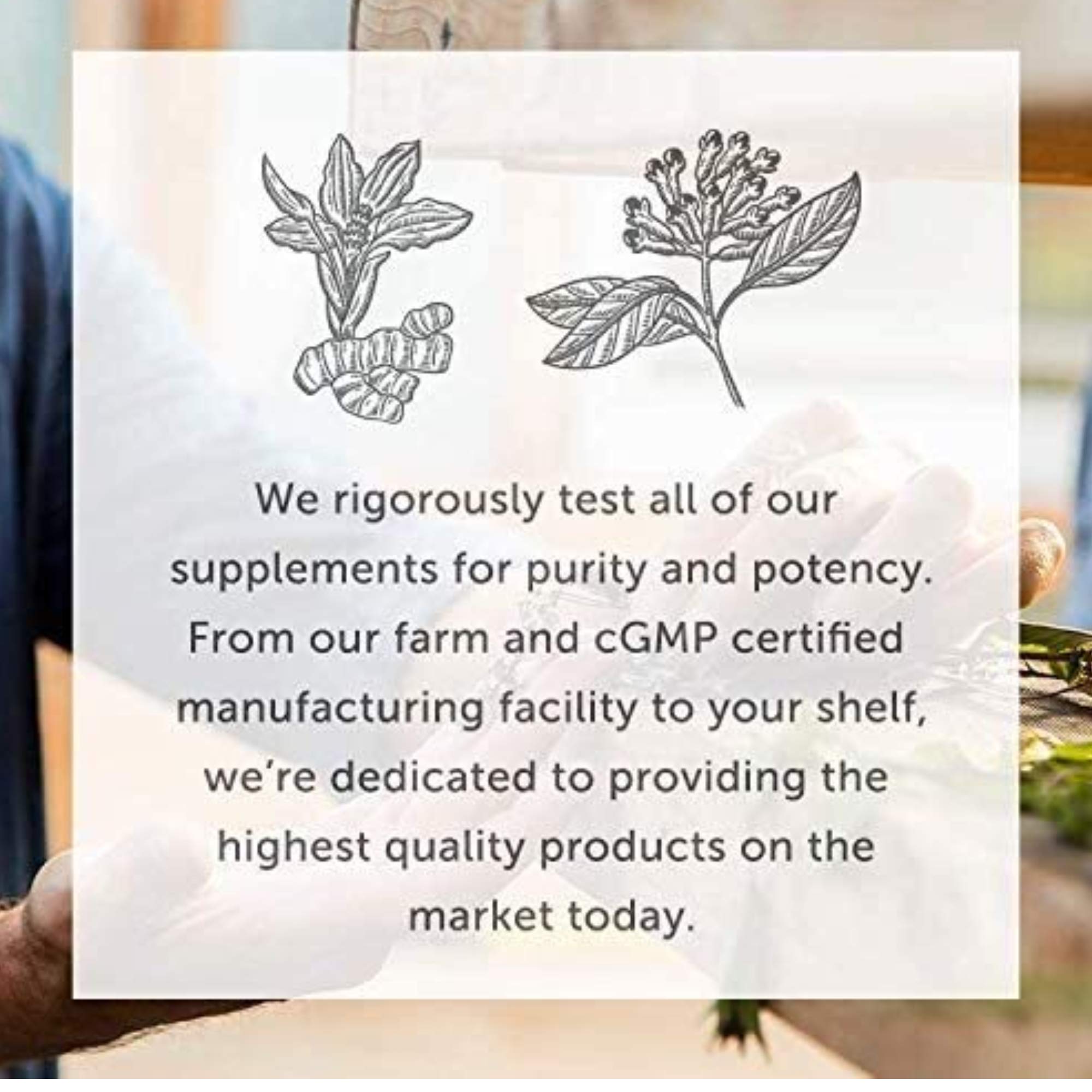 Global Healing Center B12 label shows 5,000 mcg per serving.