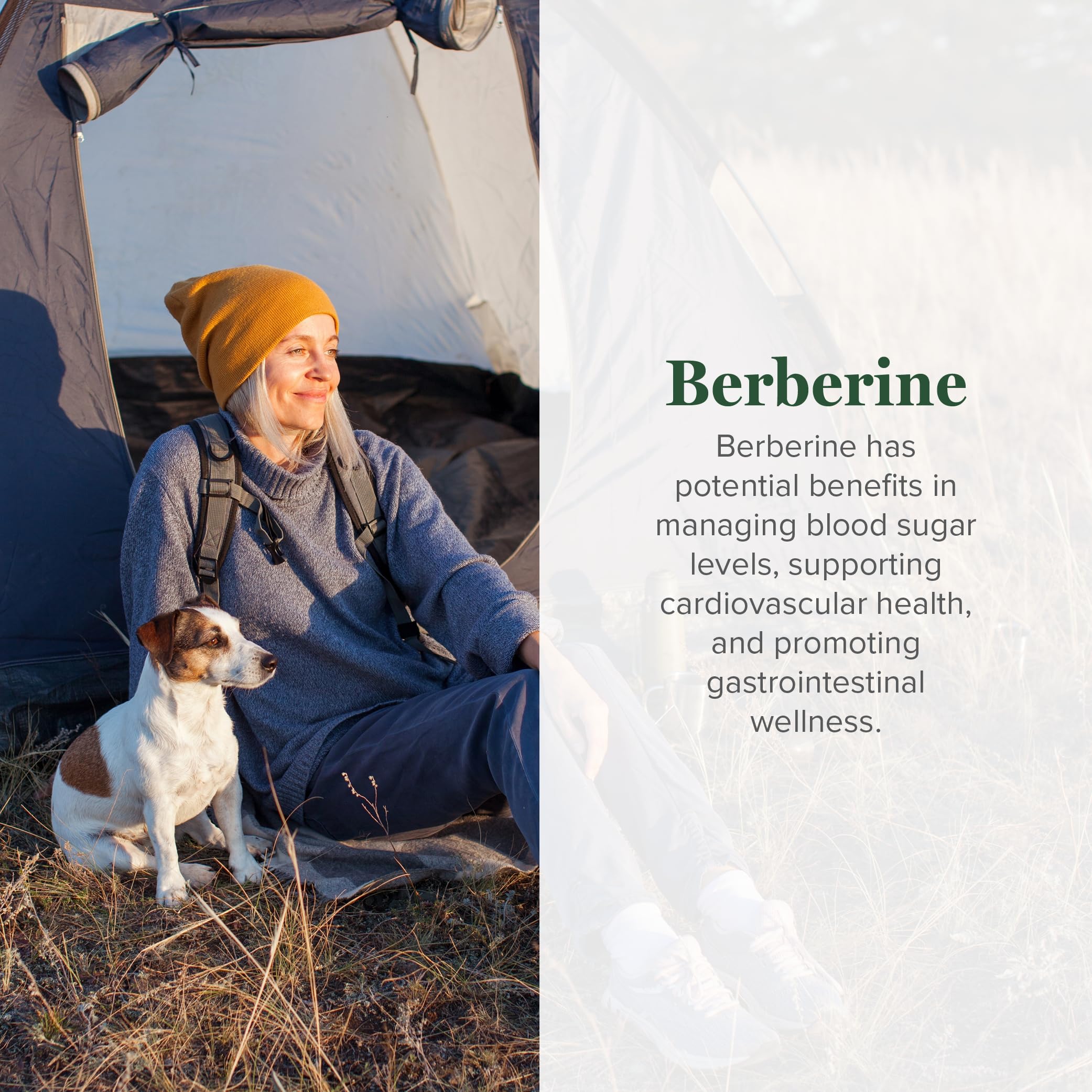 Global Healing Center berberine capsules closeup highlights 1200 mg strength for daily wellness.