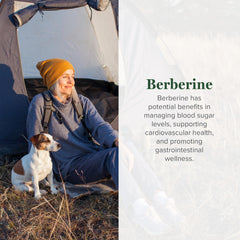 Global Healing Center berberine capsules closeup highlights 1200 mg strength for daily wellness.