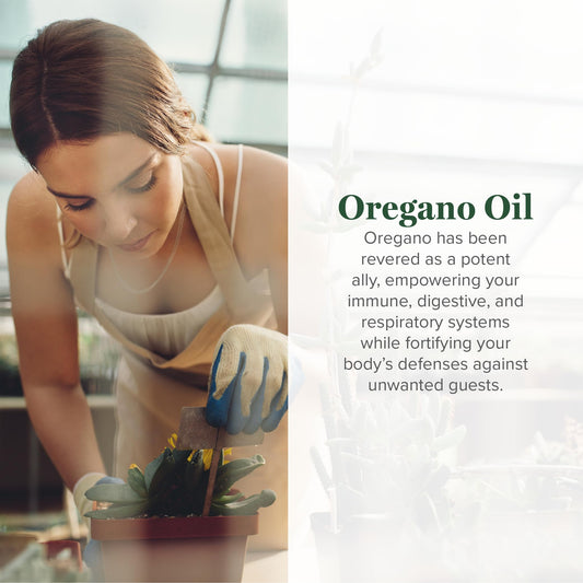 Global Healing Center oregano oil capsules label details highlight organic ingredients and quality.
