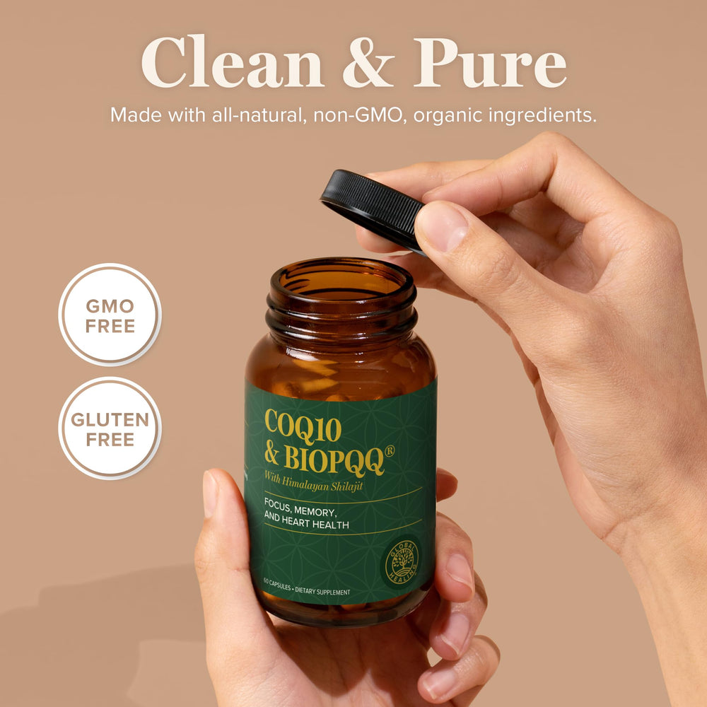 Global Healing Center Himalayan Shilajit highlights antioxidant-rich origin.