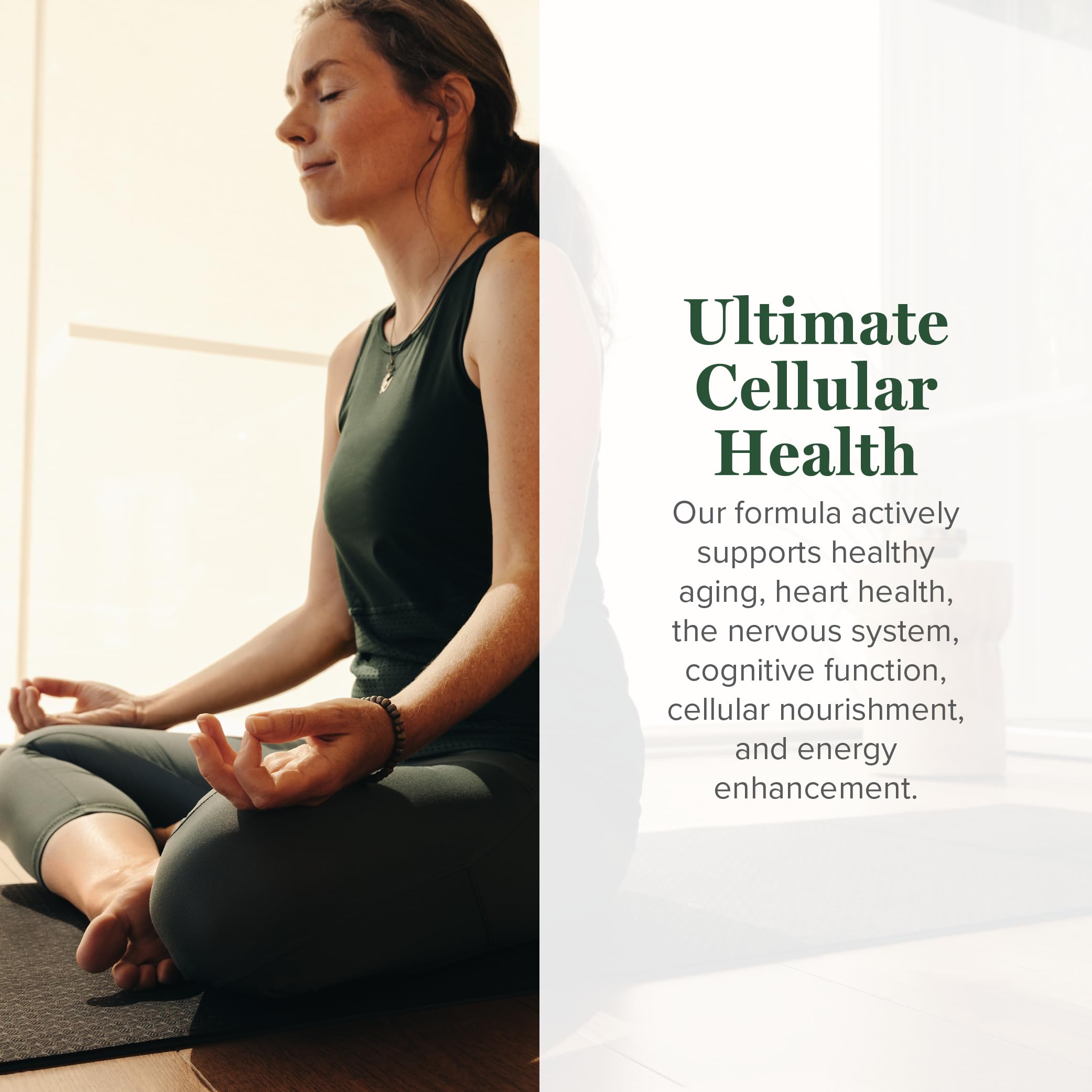 Global Healing Center Resveratrol anti-aging capsules with antioxidant support for longevity