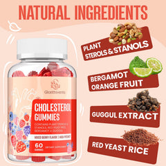 Glorithiventa bergamot extract infographic within the blend.