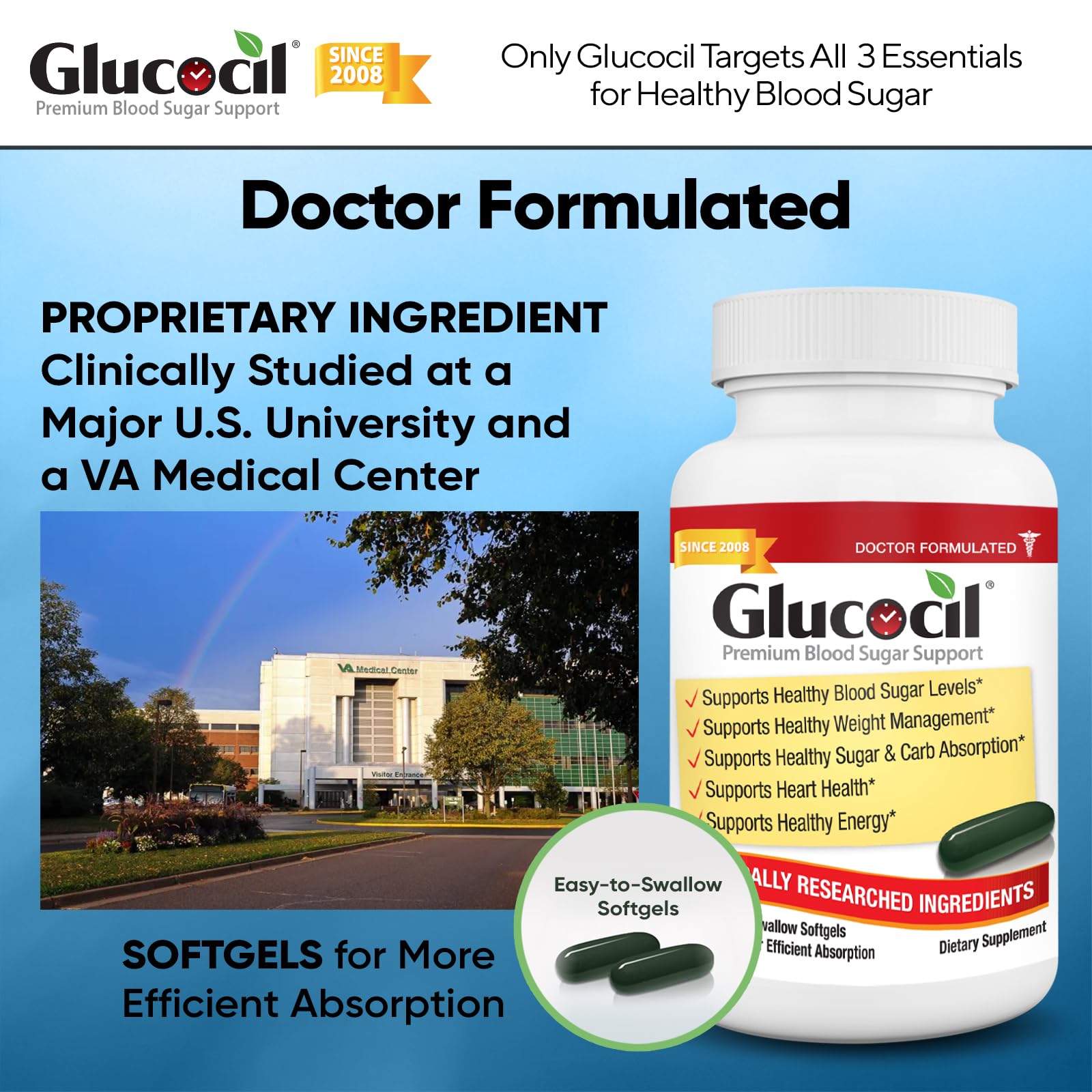 Glucocil three essentials diagram illustrating absorption, production, and usage.