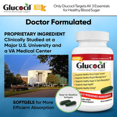 Glucocil three essentials diagram illustrating absorption, production, and usage.