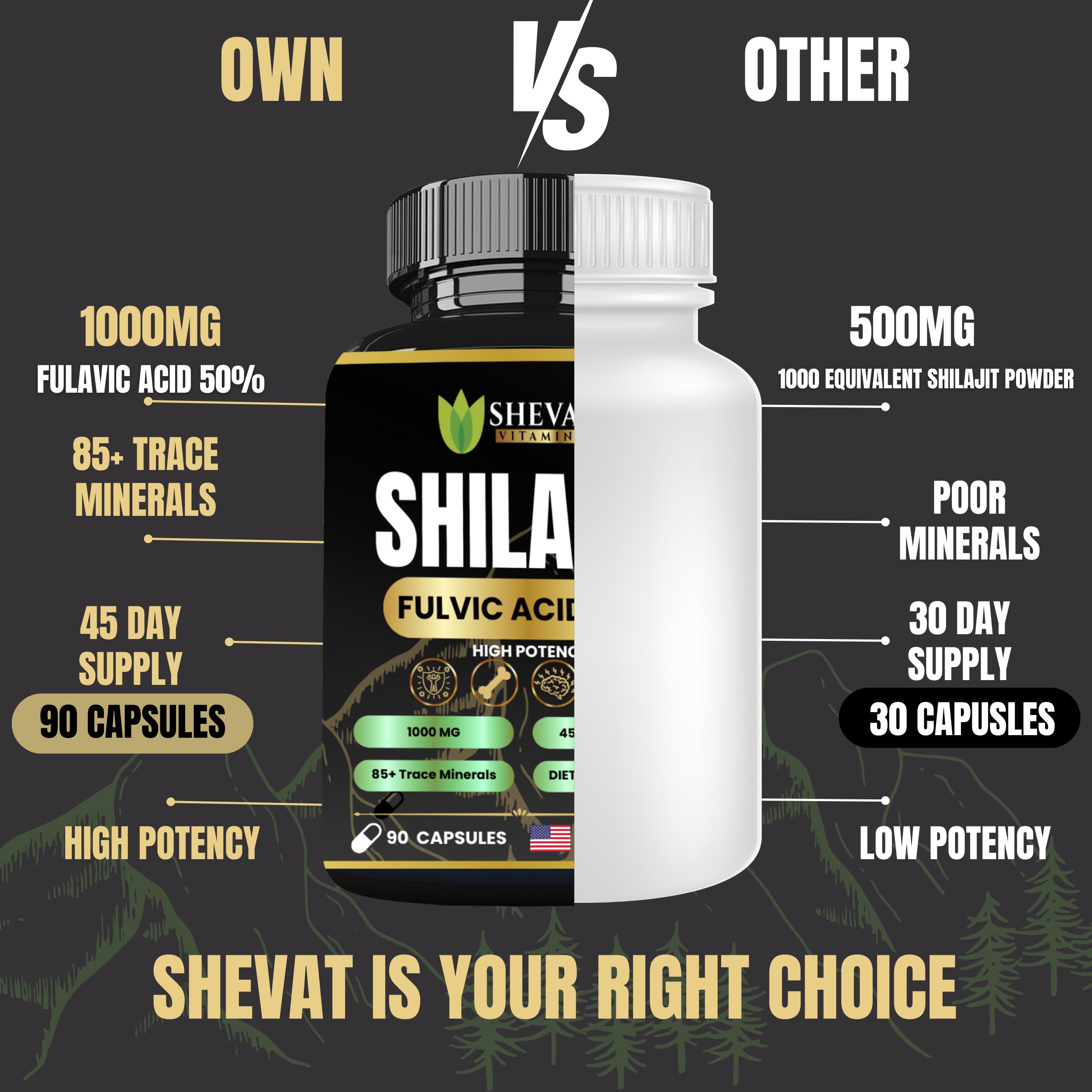 Gluten-free, non-GMO Shilajit capsules shown for clean supplement choice.