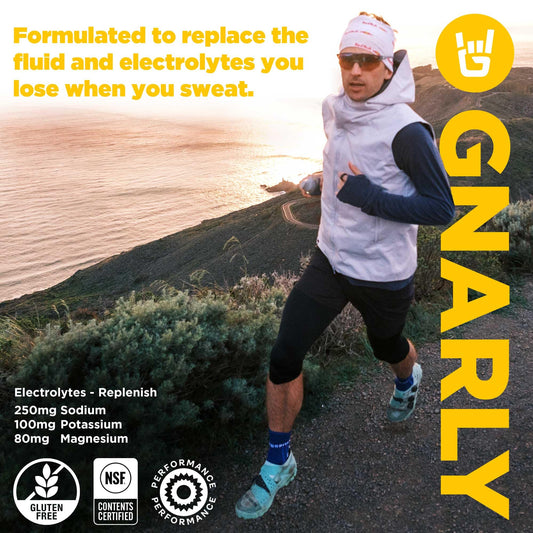 Gnarly Hydrate Lemonade stick-pack front view for portable hydration.