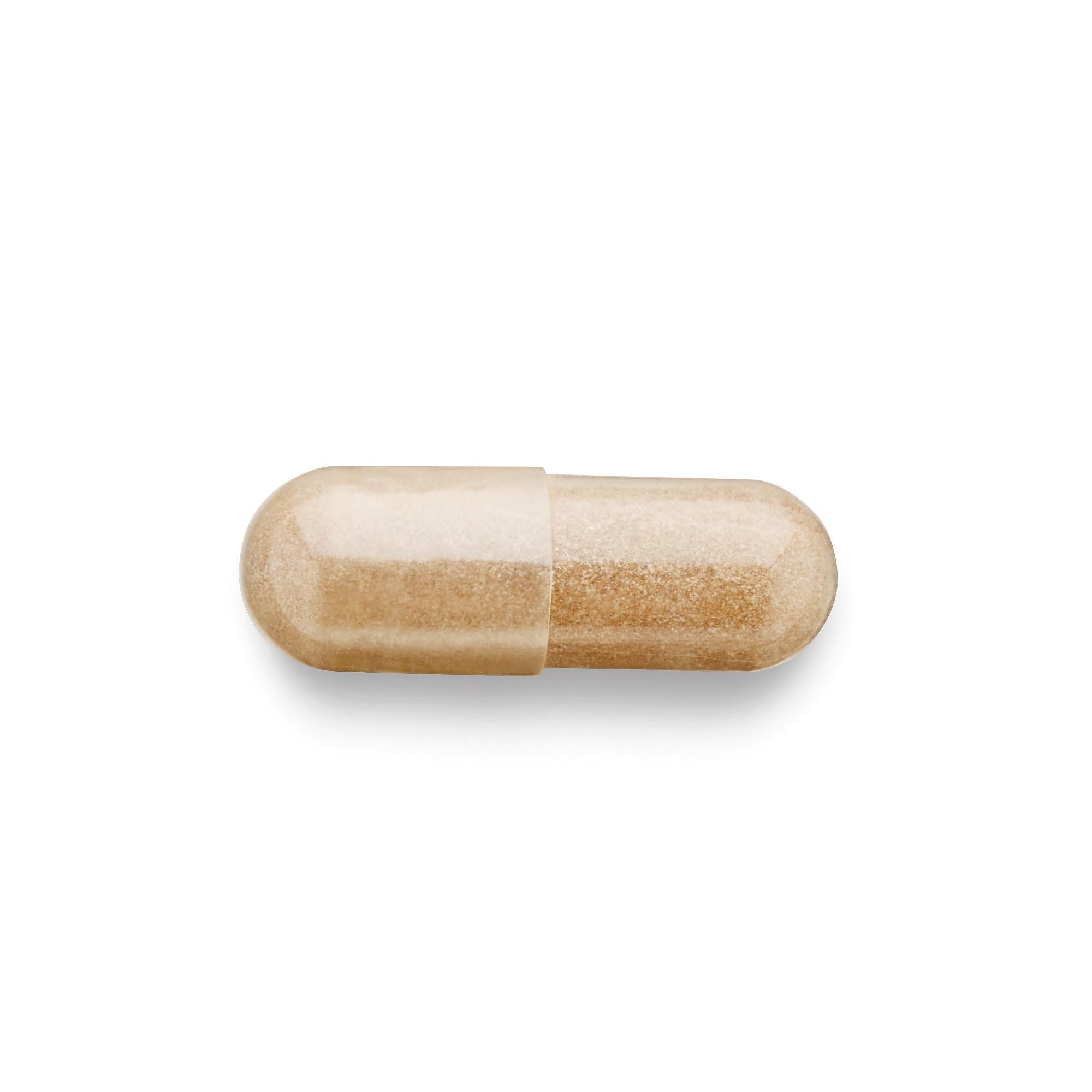 GNC Herbal Plus Rhodiola Extract store display on retail shelf.