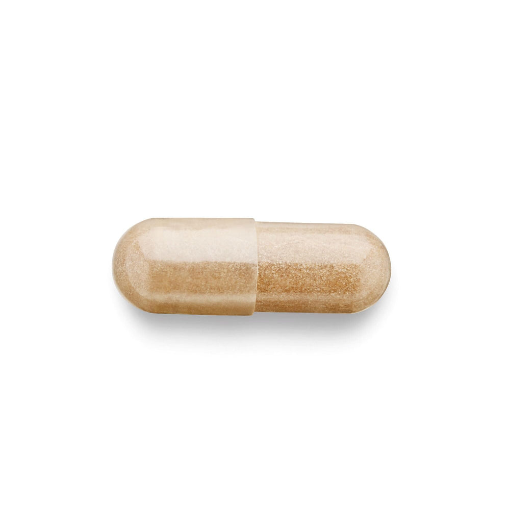 GNC Herbal Plus Rhodiola Extract store display on retail shelf.