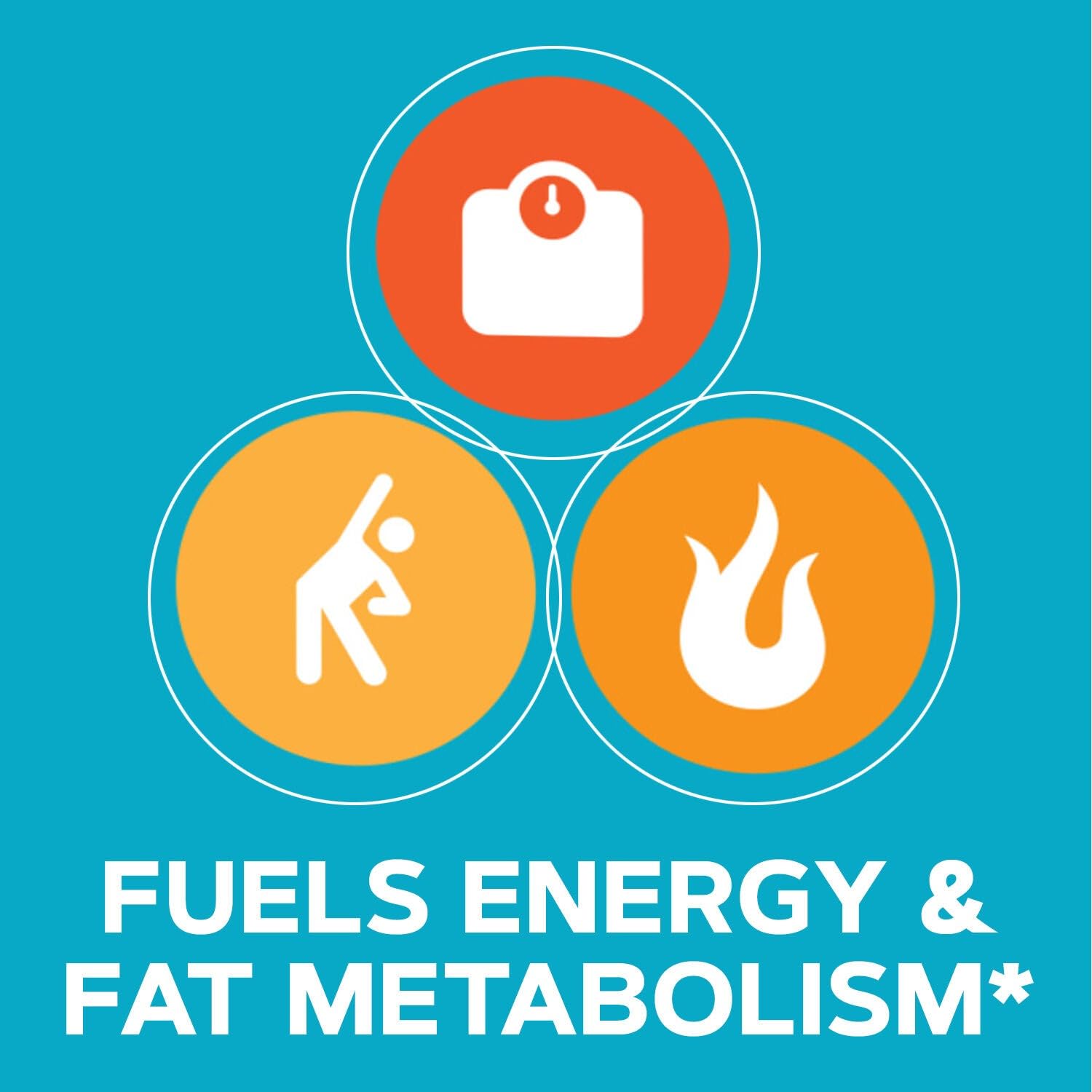 GNC Total Lean CLA dietary supplement scene in a routine setup