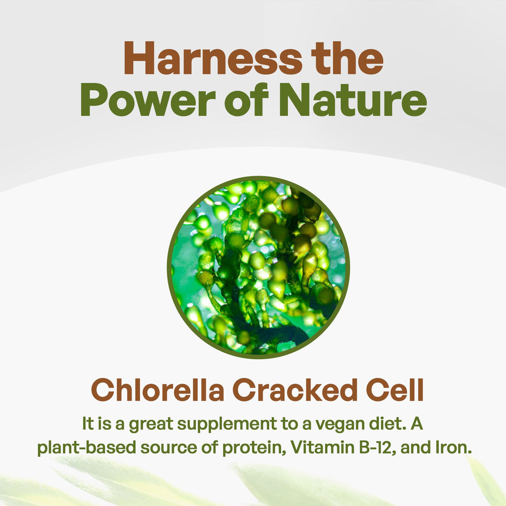 Go Nutra Chlorella Powder label front highlighting vegan and non-GMO claims