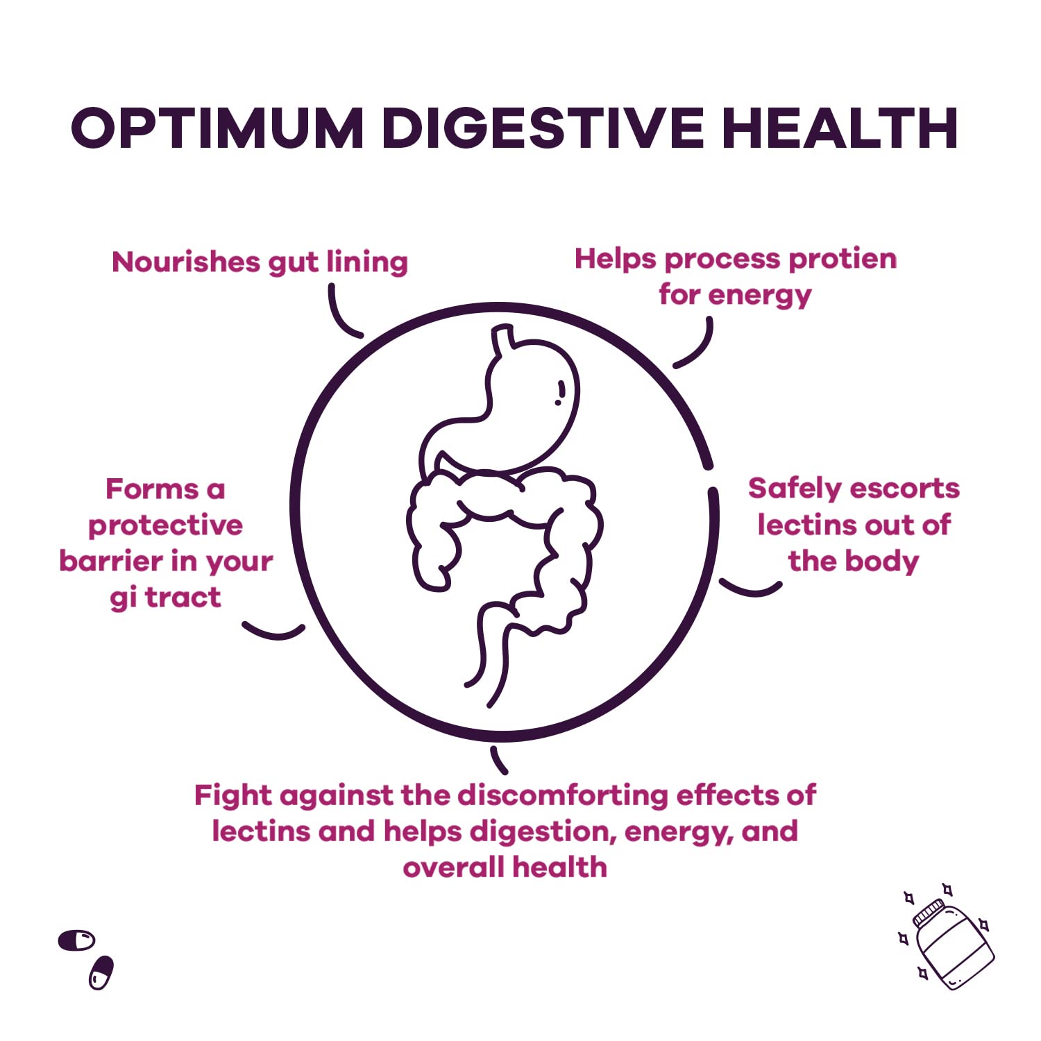 GoBiotix Lectin Defense bottle with digestive blend imply easy integration