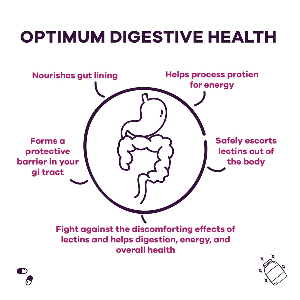 GoBiotix Lectin Defense bottle with digestive blend imply easy integration