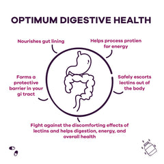 GoBiotix Lectin Defense bottle with digestive blend imply easy integration