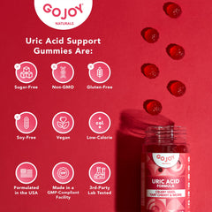 GOJOY NATURALS Vegan, non-GMO, sugar-free, soy-free, gluten-free label image.