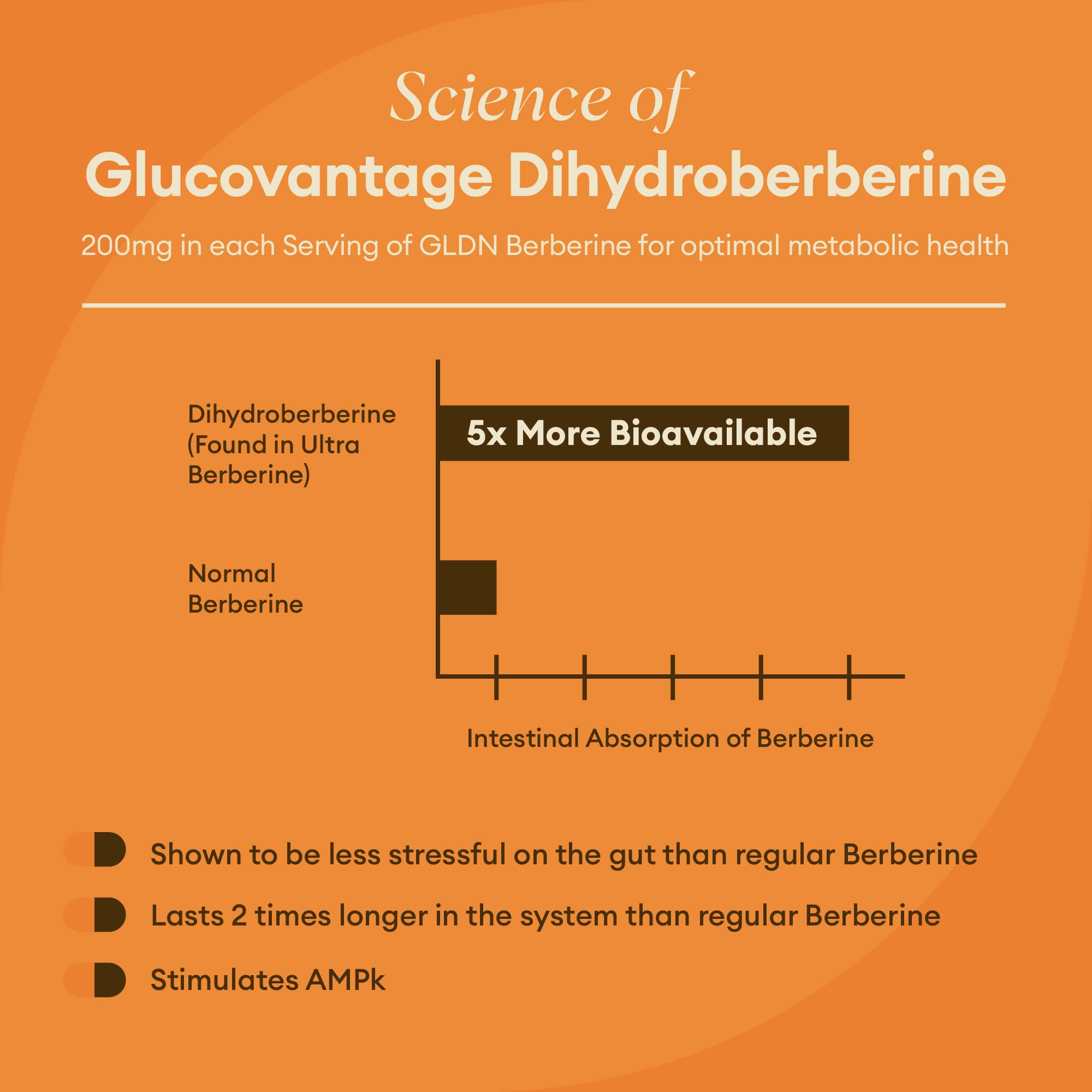 GoldenRoot GLDN Berberine capsules closeup emphasizing dihydroberberine for absorption.