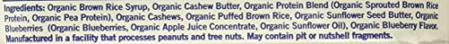 GoMacro Organic Blueberry Cashew Butter Bar on-the-go pose for quick energy