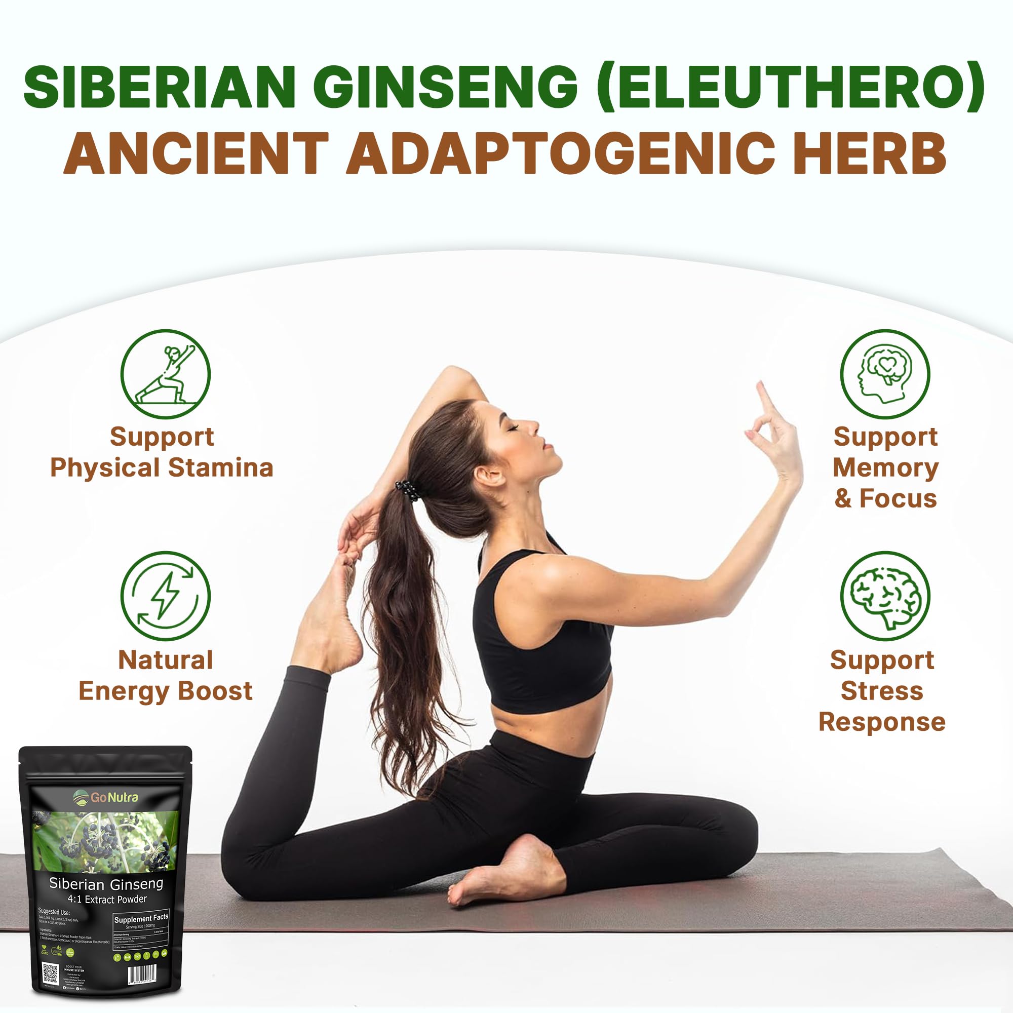 Go Nutra Siberian Ginseng powder jar and spoon ready for daily use