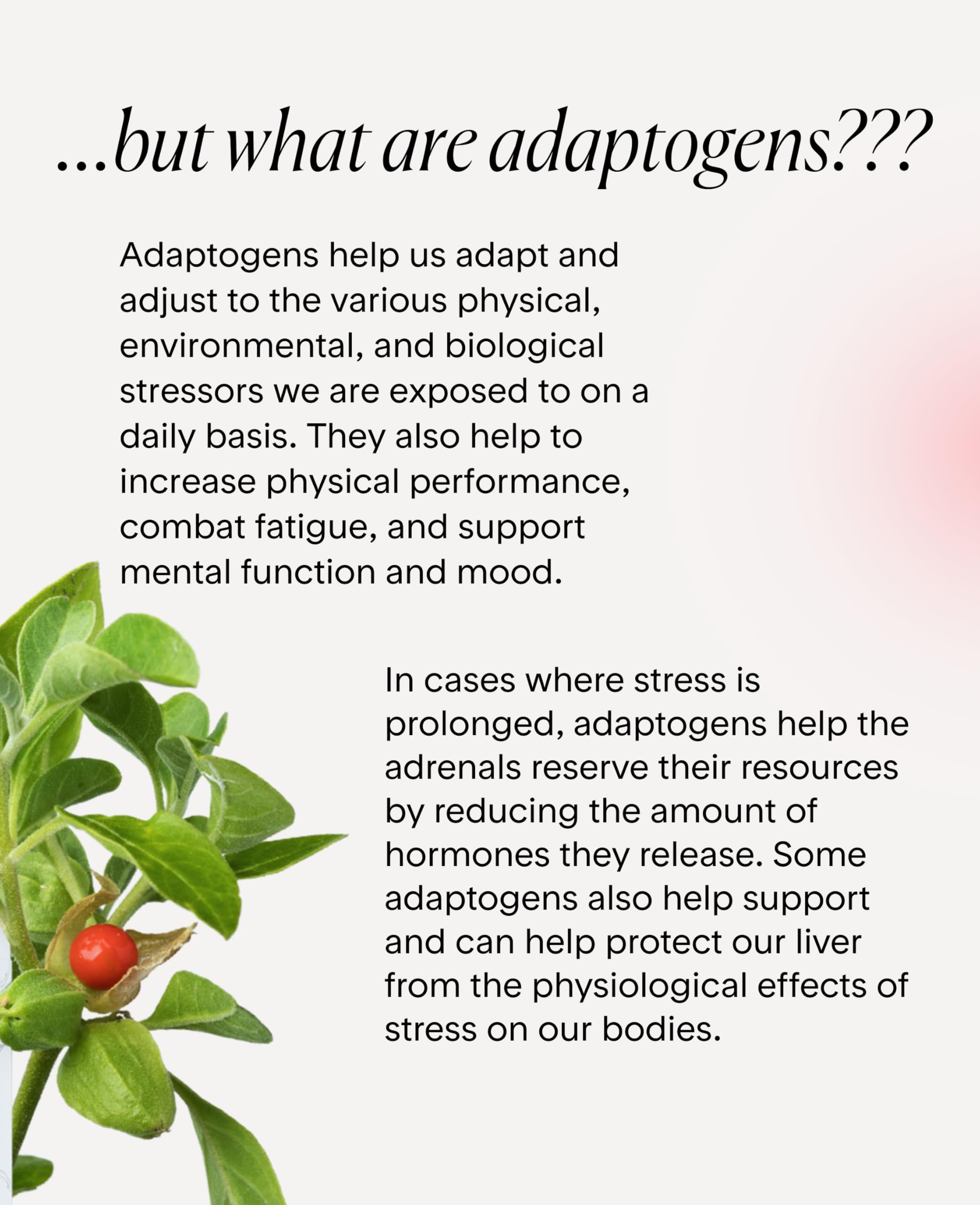 Goodness Lover label emphasizes organic root extract for stress response and absorption.